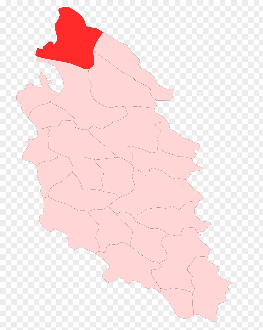 Map Pink M Petal Tuberculosis PNG