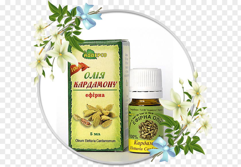 Oil Essential Cosmetics Frankincense Macadamia PNG