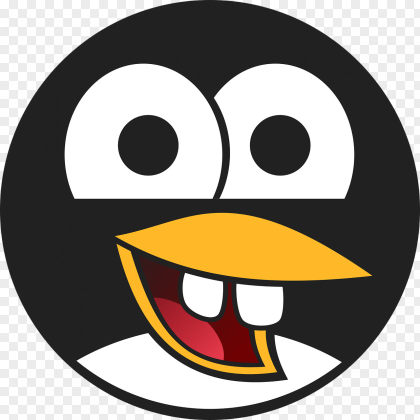 Penguin Galapagos Clip Art PNG