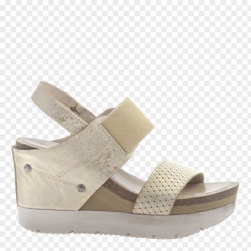 Sandal Wedge Shoe Slingback Espadrille PNG