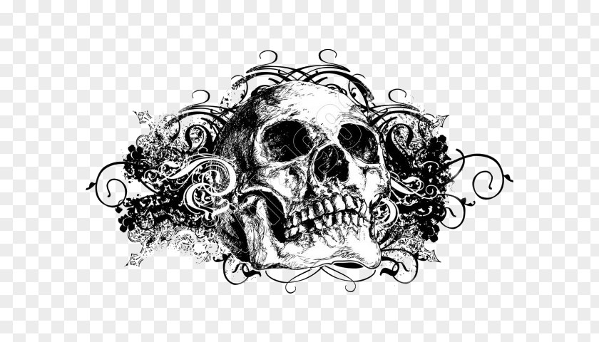 Skull Calavera PNG