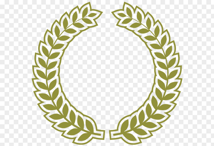 United States Olive Wreath Laurel Bay PNG