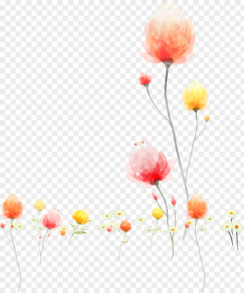 Watercolor Flowers Painting Illustration PNG
