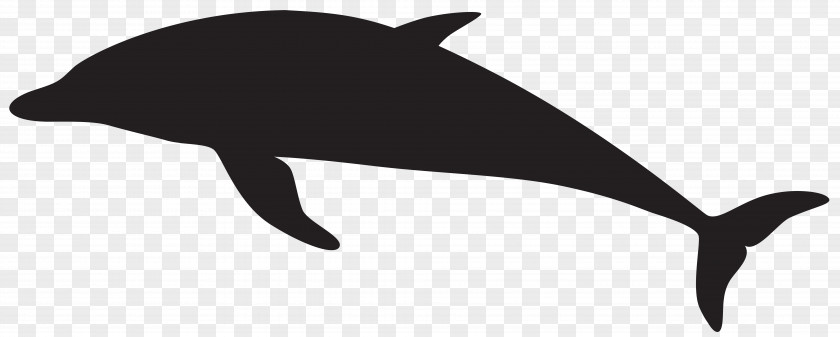 Dolphin Porpoise Silhouette Clip Art PNG