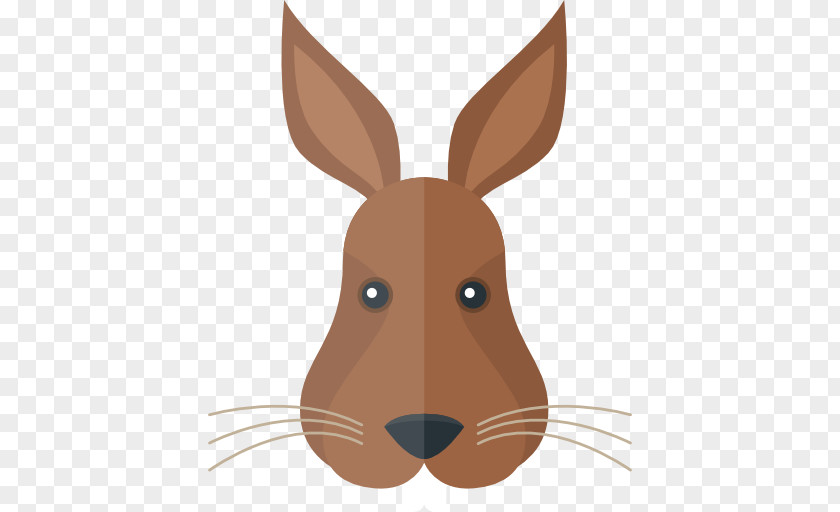 Rabbit Domestic Hare PNG