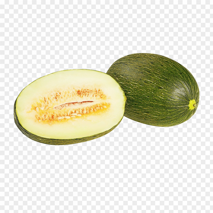 Winter Melon Gem Squash Cartoon PNG