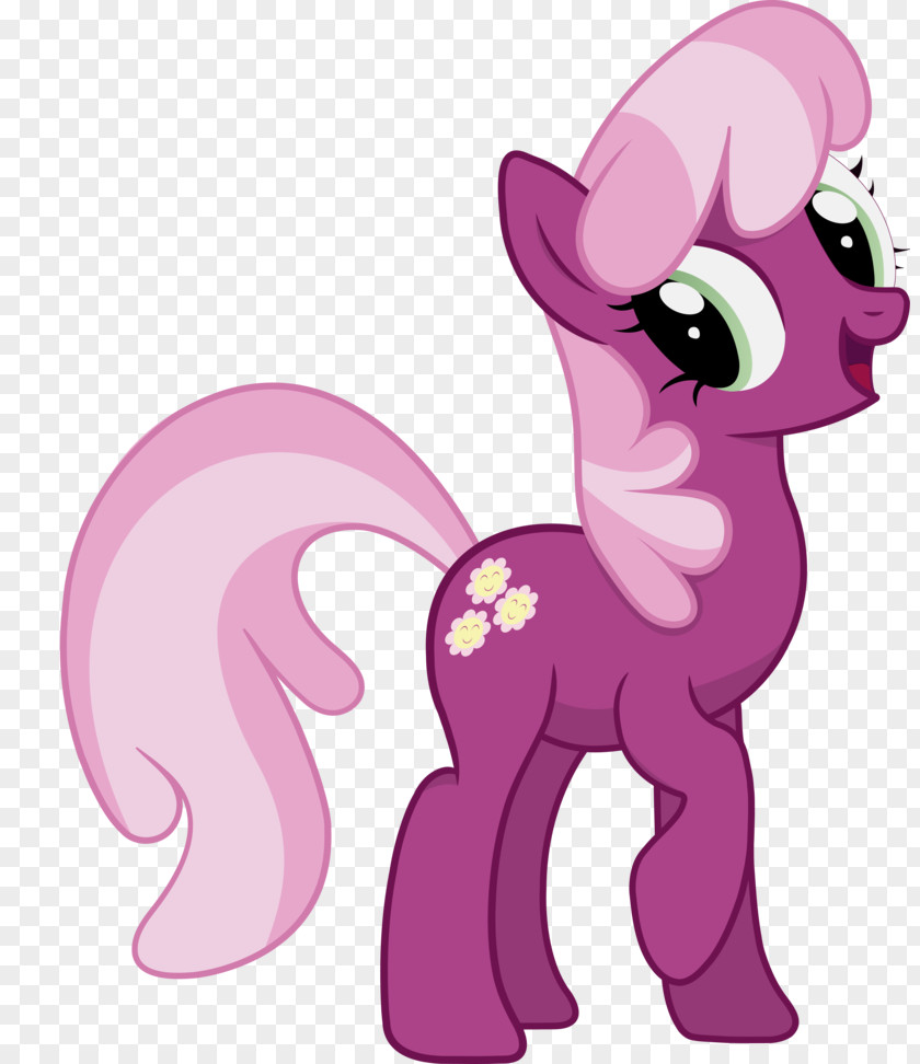 Cheerilee Rarity Rainbow Dash Pony Pinkie Pie PNG