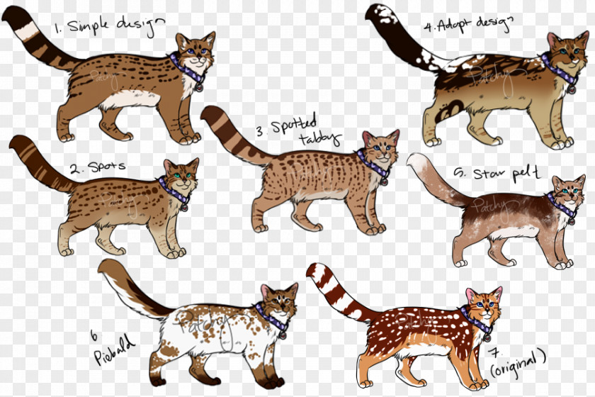 Help The Fallen Granny Kitten Domestic Short-haired Cat Whiskers Wildcat PNG