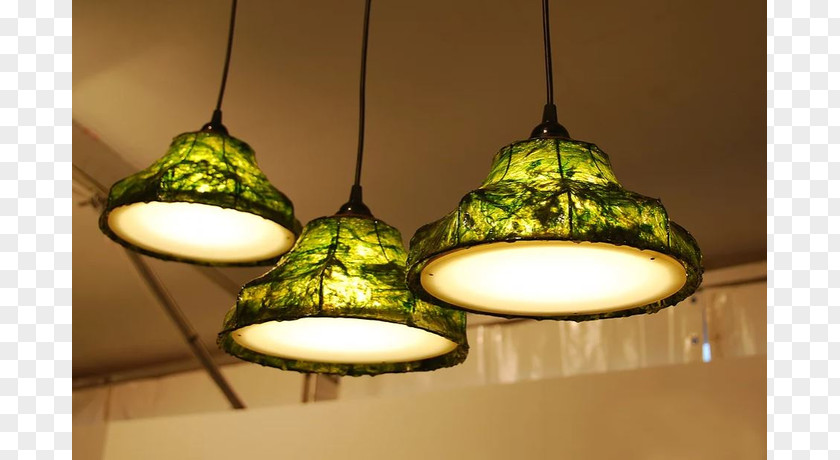 Nori Seaweed Algae Building Design Lamp Shades PNG