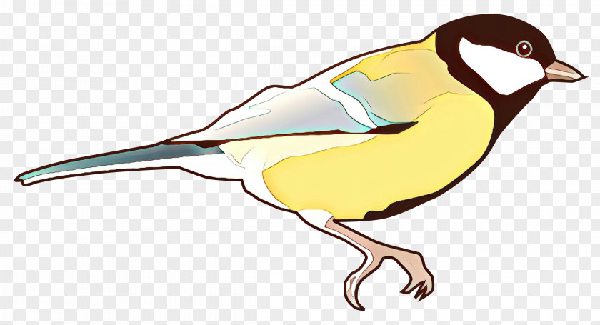 Bird Beak Finch Wildlife Perching PNG