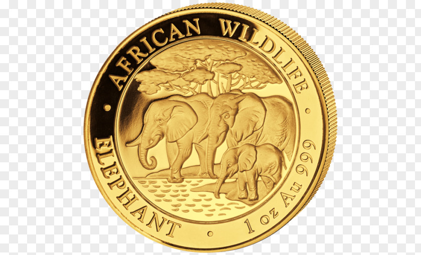 Coin Gold Somalia Bullion PNG