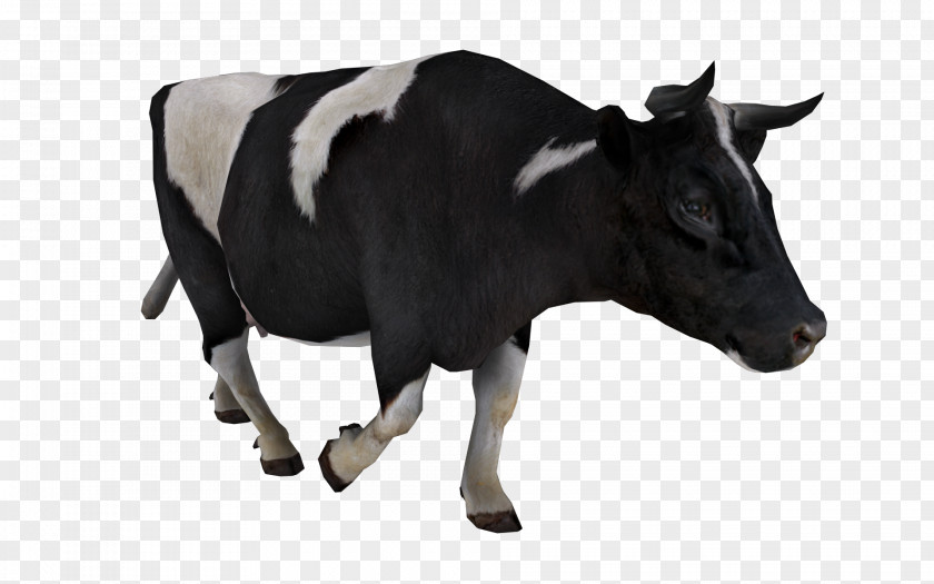 Cow Image Cattle Livestock Sticker PNG
