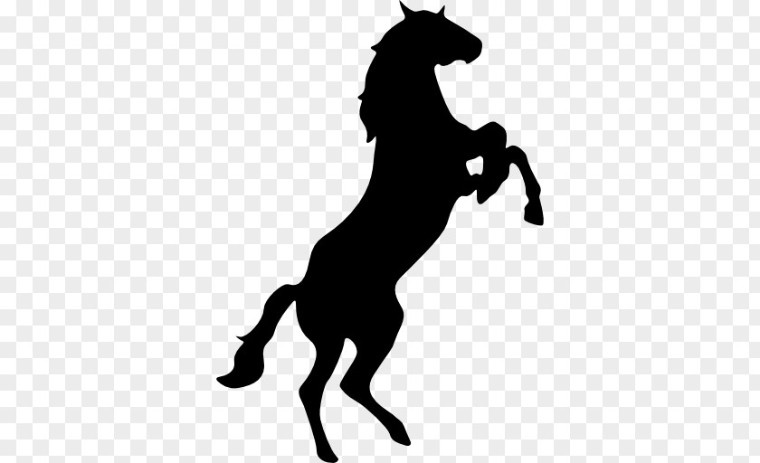 Horse Racing Standing Stallion Mustang Clip Art PNG