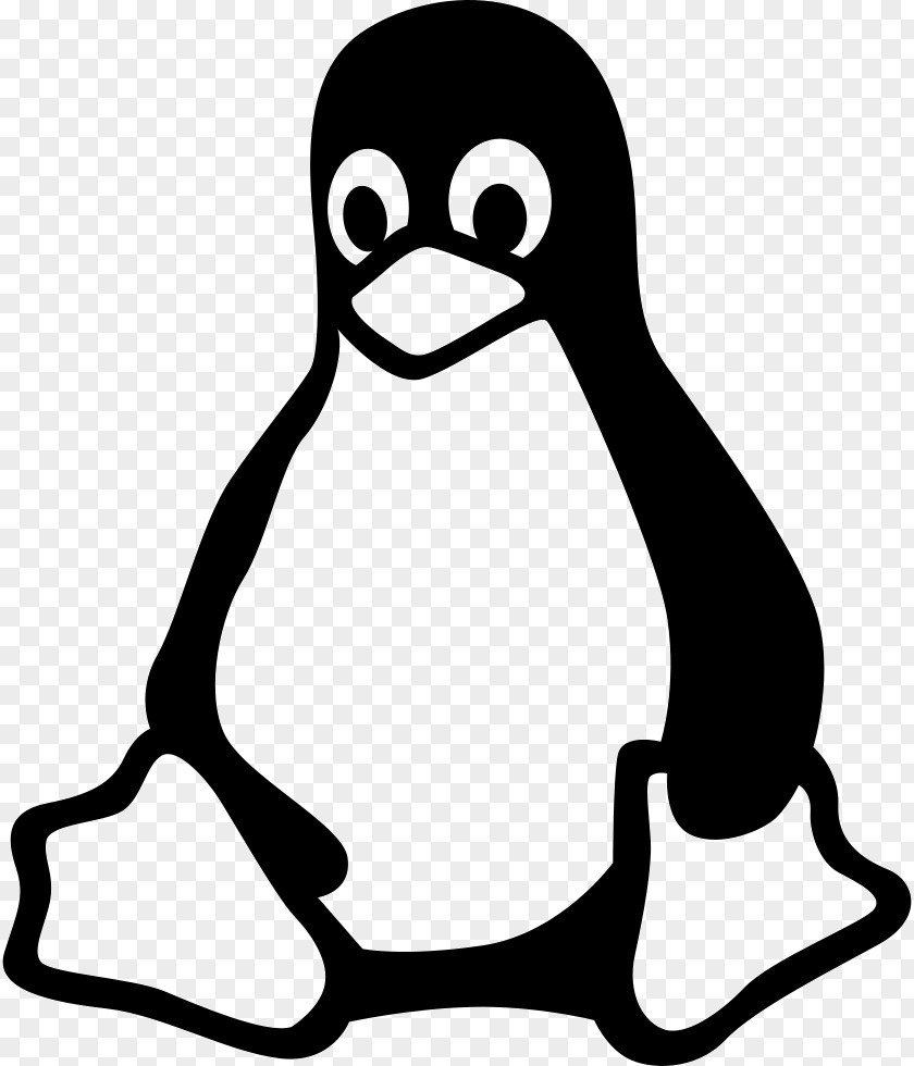 Linux Tux Racer PNG