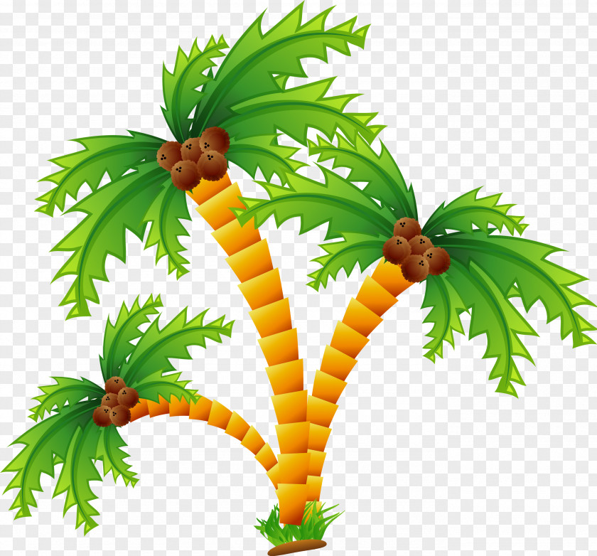 Palm Cartoon Desert Island PNG