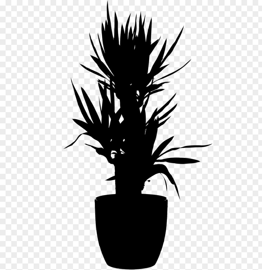 Palm Trees Flower Plant Stem Silhouette Plants PNG