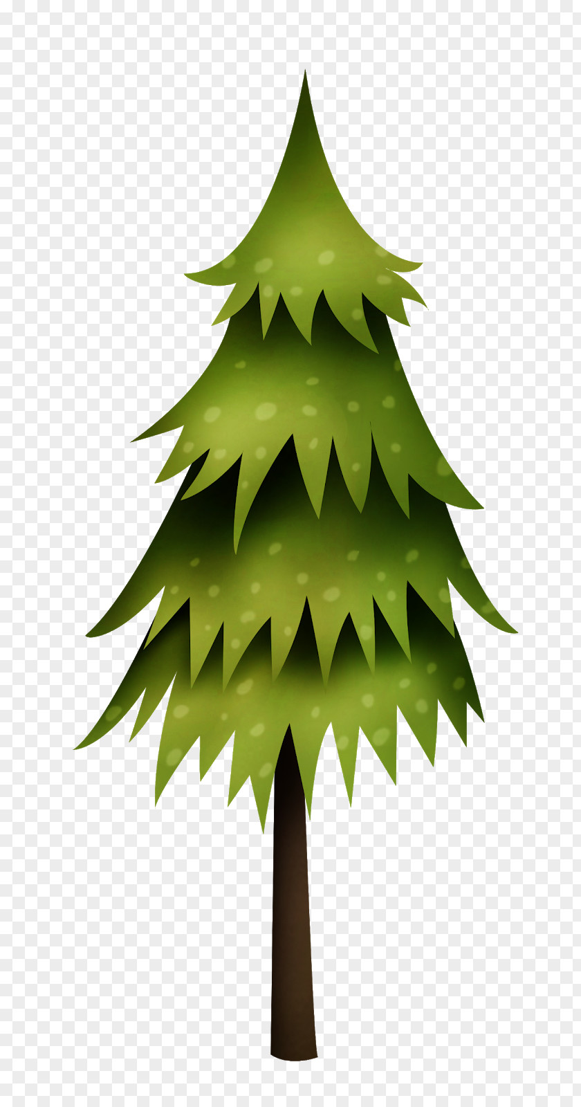 Tree Coloring Book Fir Christmas Drawing PNG