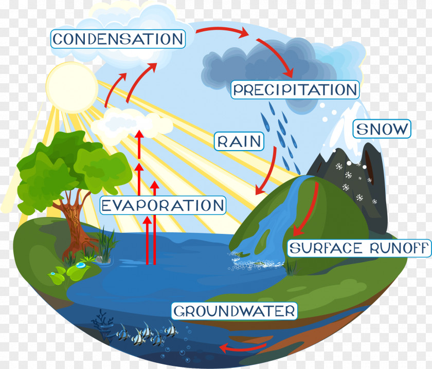 Water Cycle Diagram Royalty-free PNG