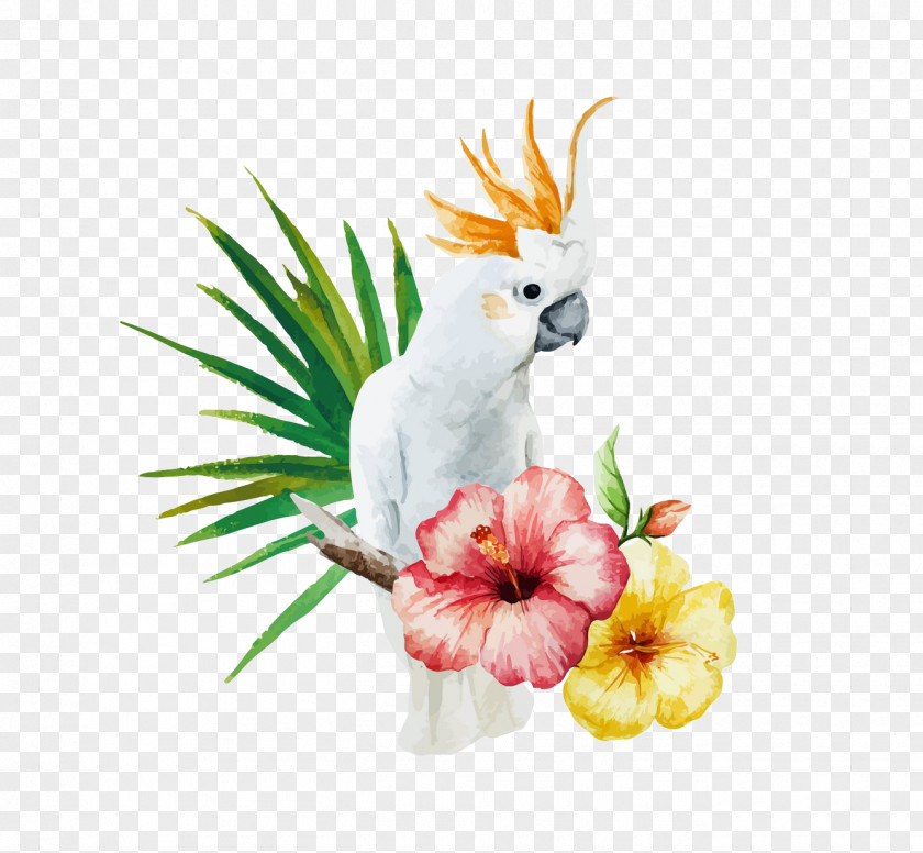 Bird And Flower White Cockatoo Curtain PNG