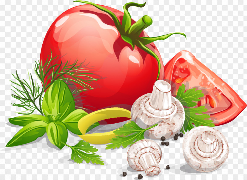 Hand-painted Vegetable Vector Organic Food Health PNG