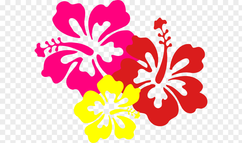 Hawaiian Images Free Hawaii Lei Frangipani Clip Art PNG