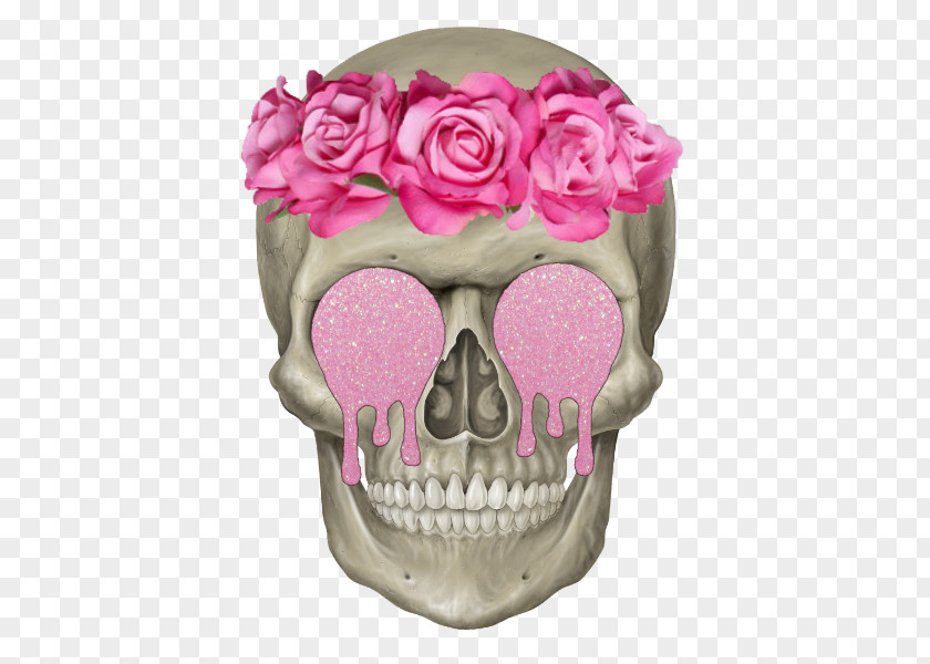 Pink Skull Human Skeleton Axial Head PNG
