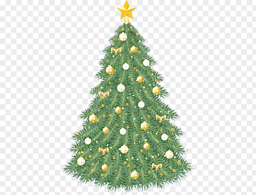 Shortleaf Black Spruce Christmas Ornament Tree PNG