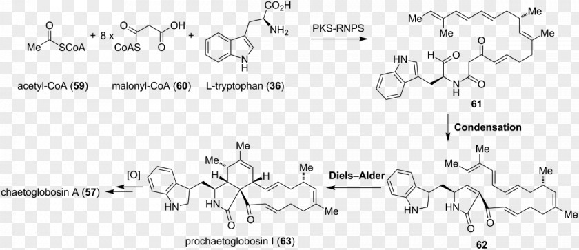 Staurosporine Chemistry Isoindole Semantic Scholar Document Natural Product PNG