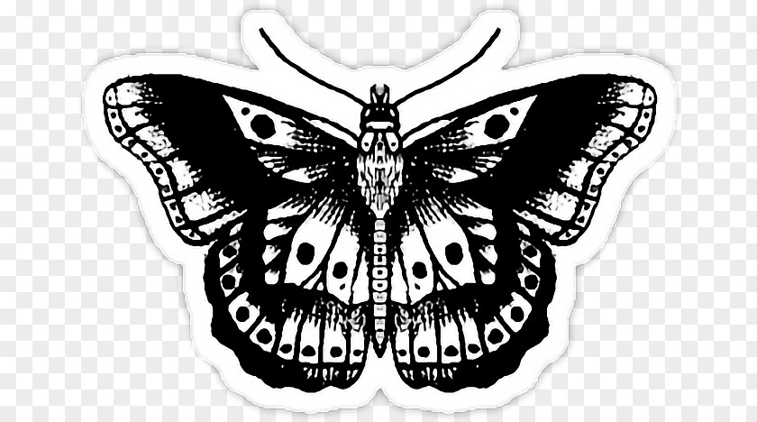 Tattoo Effect Image Butterfly Model Drawing PNG
