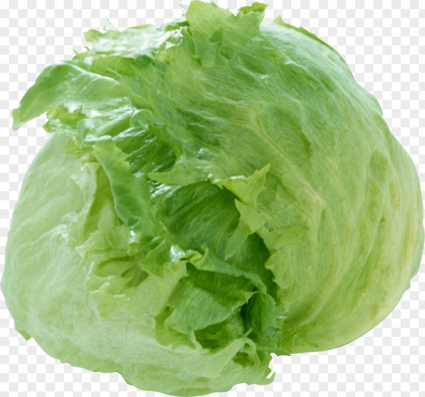 Cabbage Iceberg Lettuce Broccoli Salad Dish PNG