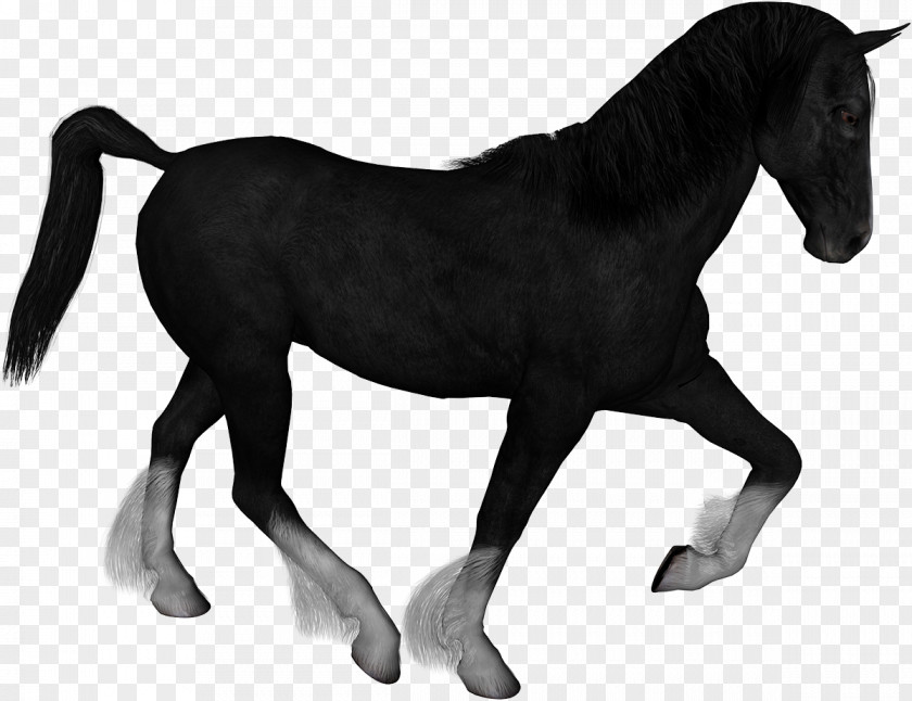 Mustang Horses Clip Art PNG