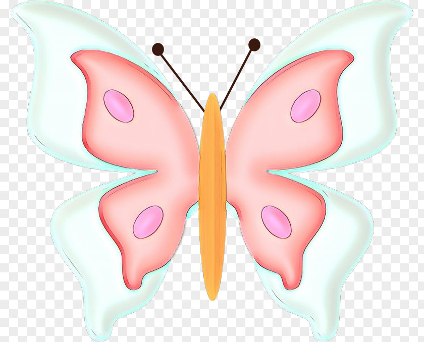 Symmetry Pollinator Butterfly Pink Moths And Butterflies Clip Art Insect PNG
