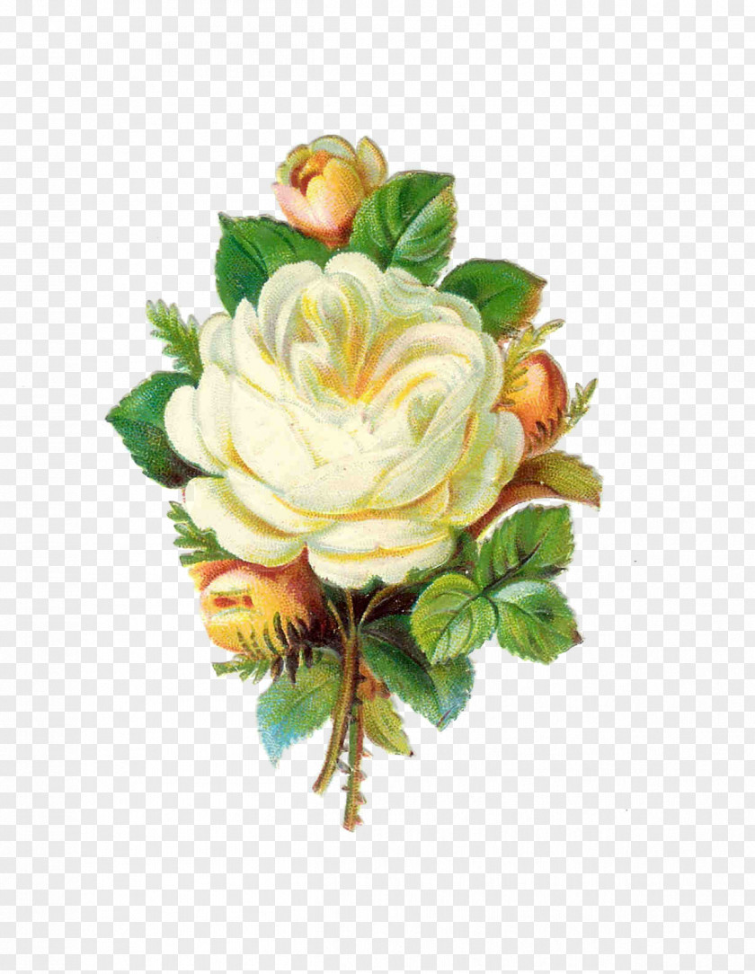 White Rose Flower Bouquet Antique Clip Art PNG