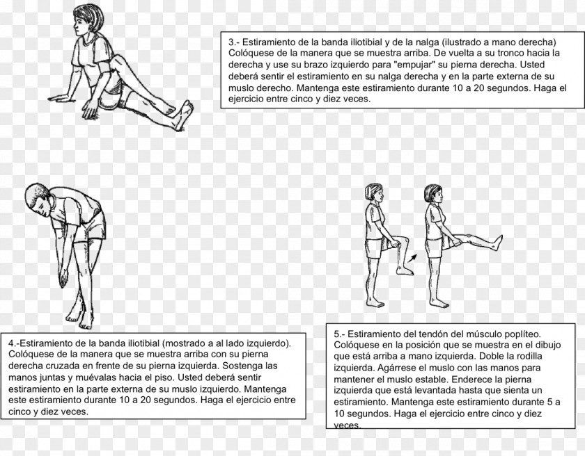 Artrosis De Rodilla Homo Sapiens Human Behavior Line Art Sketch PNG