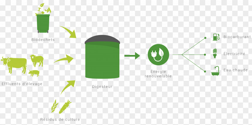 Euros Biogas Anaerobic Digestion Renewable Energy Crop PNG