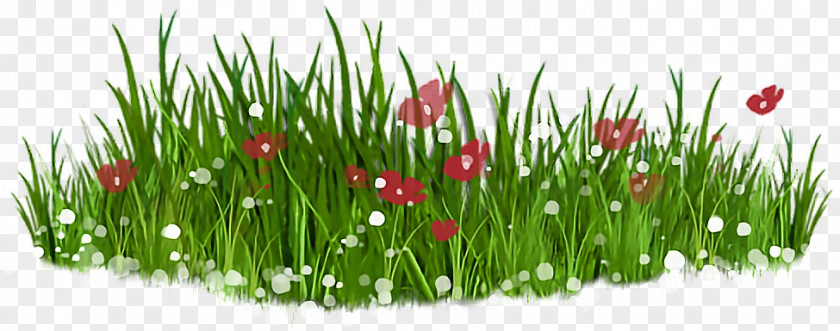 Grass Hd Clip Art Openclipart Image Lawn Free Content PNG