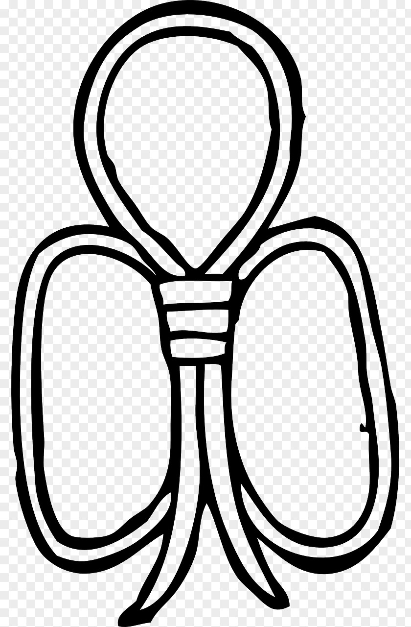 Knot Rope Clip Art PNG