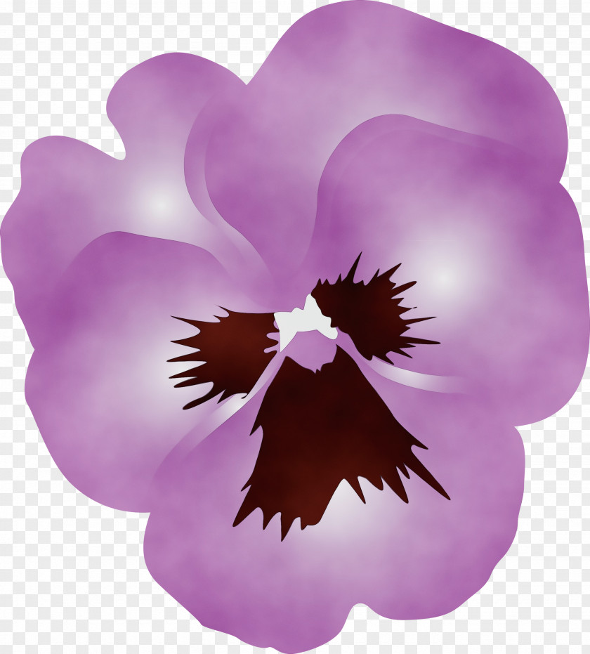 Violet Purple Petal Flower Plant PNG