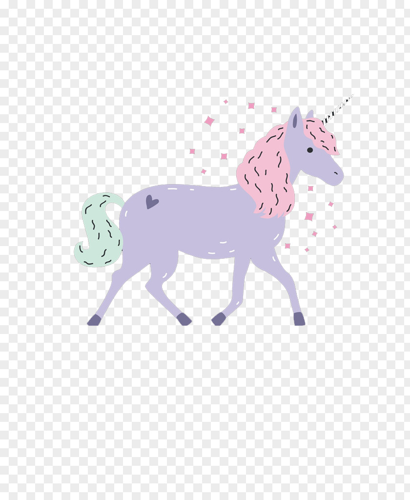 Color Unicorn Horn Illustration PNG