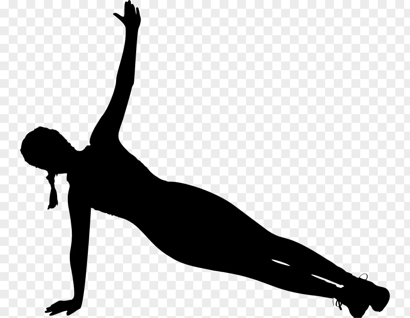 Fitness Physical Silhouette Wellness SA Exercise Clip Art PNG