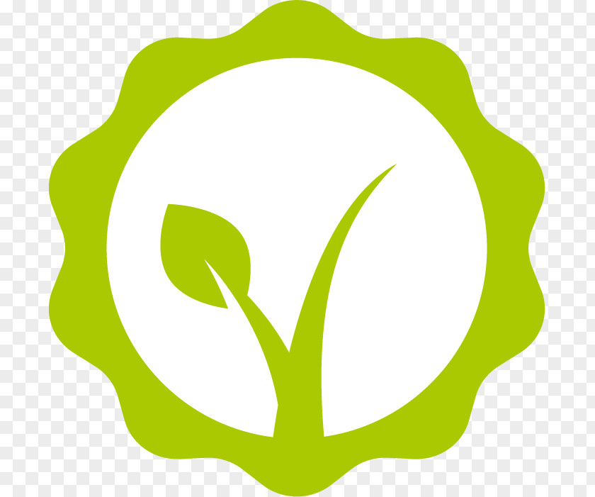Leaf Clip Art Product Logo Plant Stem PNG