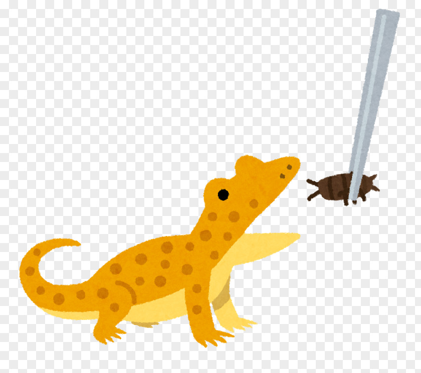 Lizard Reptile 飼育 Japanese Skink Bait PNG