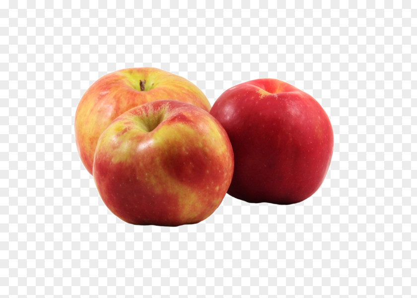 Organic Food McIntosh Red Gravenstein Apple Cider Fruit Tree PNG