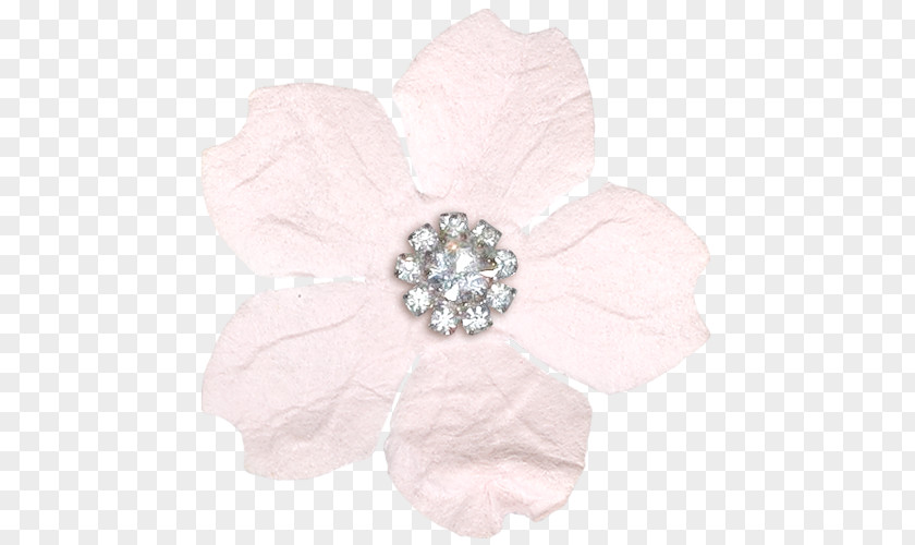 Salmon (color) Pink Petal Flower PNG