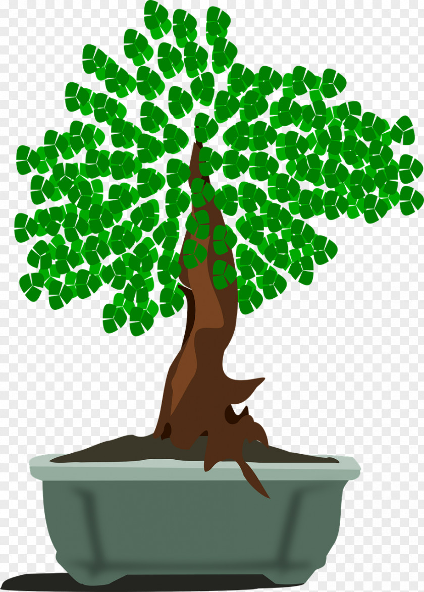 Tree Creating Bonsai Clip Art Illustration PNG
