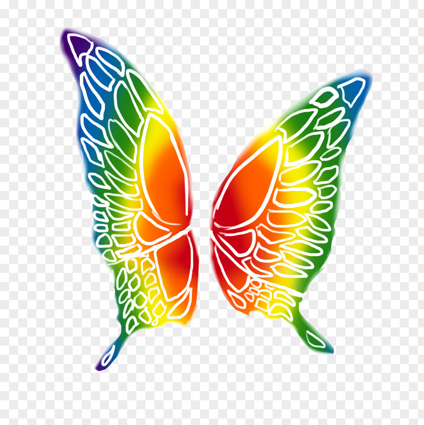 Butterfly Rainbow Rhetus Periander PNG