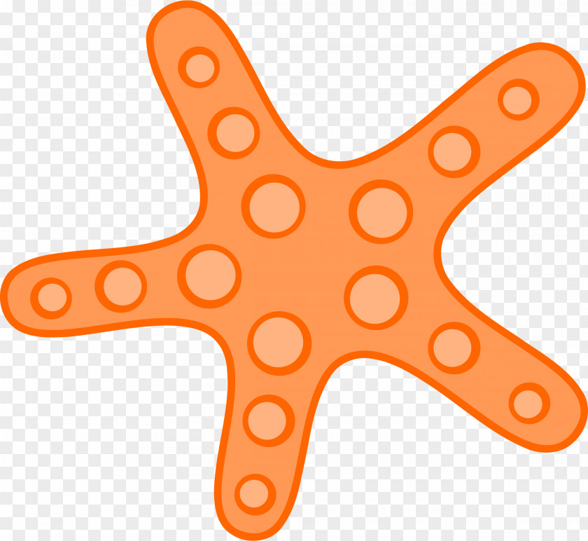 Cute Starfish Image Clip Art PNG