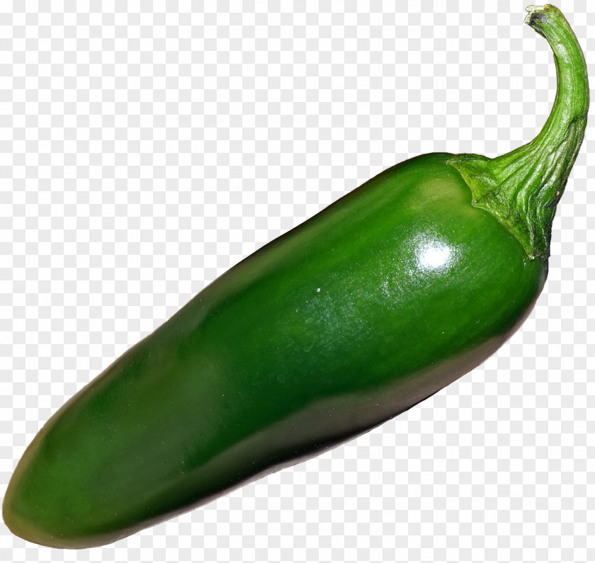 Jalapeno Peppers Jalapeño Habanero Bell Pepper Serrano Poblano PNG