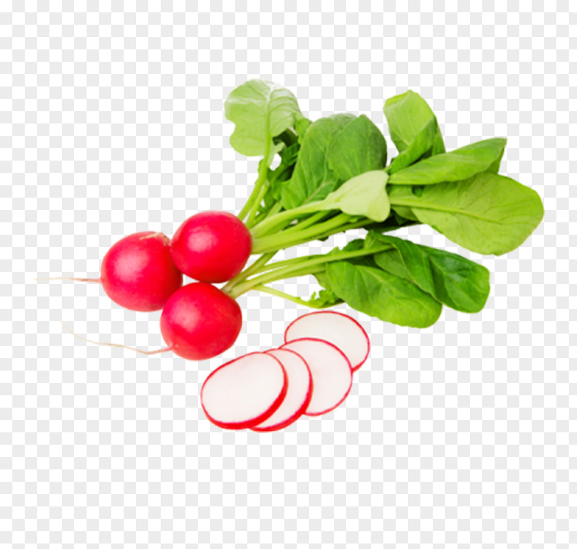 Vegetable Daikon Garden Radish Food Raphanus PNG