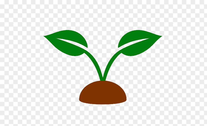 Agriculture Plant Information Clip Art PNG